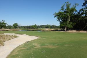 Congaree 4th Tee